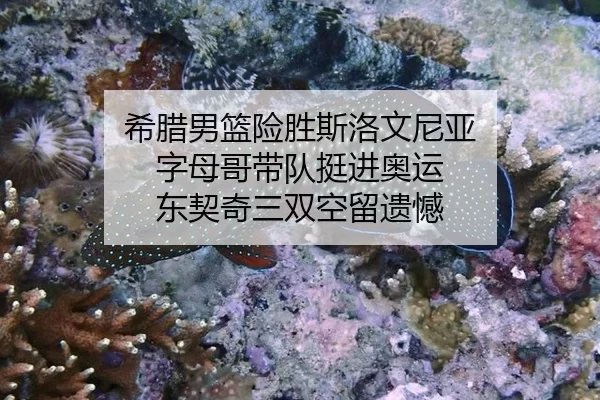 xi-la-nan-lan-xian-sheng-si-luo-wen-ni-ya-zi-mu-ge-dai-dui-ting-jin-ao-yun-dong-qi-qi-san-shuang-kong-liu-yi-han-2-223.jpg